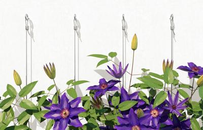 Fischer Stelschroeven (Ø x l) 15 mm x 50 mm Staal, elektrolytisch verzinkt, met grote U-schijf 20 stuk(s) Fischer Stelschroeven (Ø x l) 15 mm x 50 mm Staal, elektrolytisch verzinkt, met grote U-schijf 20 stuk(s)