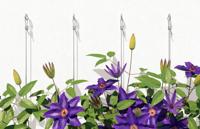 Fischer Stelschroeven (Ø x l) 15 mm x 50 mm Staal, elektrolytisch verzinkt, met grote U-schijf 20 stuk(s) - thumbnail