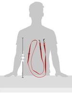 Hondenriem Company of Animals Rood S - thumbnail