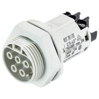 Wieland Electric 96.051.5053.0 Aansluiting voor apparaat - thumbnail