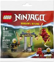 LEGO ninjago 30650 kai and raptons temple battle - thumbnail