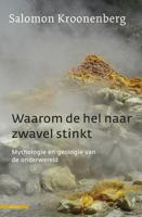 Waarom de hel naar zwavel stinkt - Salomon Kroonenberg - ebook - thumbnail