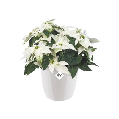 Elho brussels diamond round 14 white