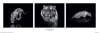 Poster Marina Cano - Into the Dark 91,5x30,5cm