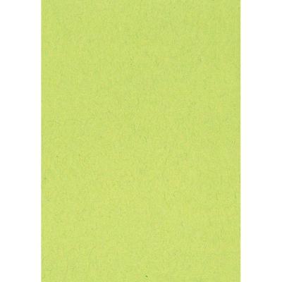 Gekleurd tekenpapier, 120 g, ft 21 x 29,7, A4, lichtgroen, pak van 500 vel
