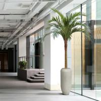 Majesty kunstpalm x10 YG-Trunk 300cm - thumbnail