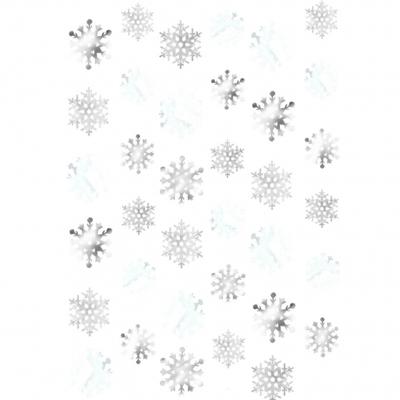 6 Stringen Decoratie Sneeuwvlokken