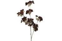 Kunstbloem Hydrangea S donkerbruin Countryfield - Countryfield - thumbnail