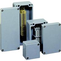 Bopla EUROMAS P 331 4331000 Industriële behuizing 220 x 120 x 90 Glasvezelversterkt polyester Eekhoorngrijs (zijdemat) 1 stuk(s) - thumbnail