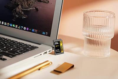 Lexar Professional SDXC 256GB BL 1800X UHS-II V60 Gold