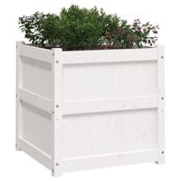 Plantenbak 60x60x60 cm massief grenenhout wit - thumbnail