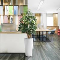 Schefflera Exotica kunstplant 120cm - FR - brandvertragend - thumbnail