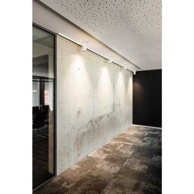 SLV OpbouwspotNuminos L Dali cilinder wit/zwart 3000K - 36gr - 1004615