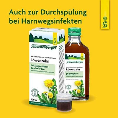 Paardenbloem BIO - thumbnail