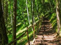 Buitencanvas houten trap 78x58cm Anna's Collection - Annas collection - thumbnail