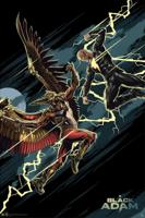 Poster DC Comics - Black Adam - vs Hawkman 61x91,5cm - thumbnail