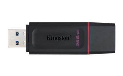 USB stick Kingston DataTraveler DTX Zwart USB stick Inhoud 256 GB