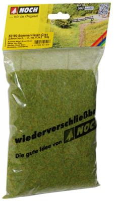 NOCH 50190 Strooigras Zomer weide Groen (gemiddeld)