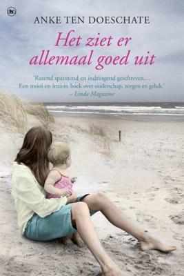 Het ziet er allemaal goed uit (Paperback)