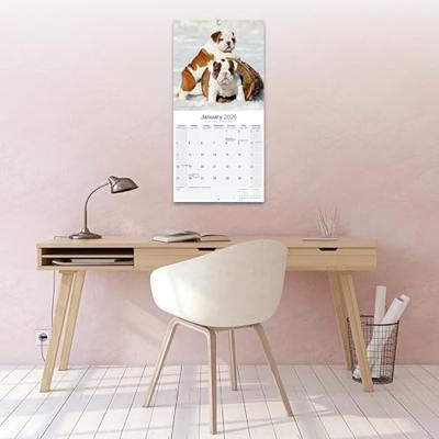 Engelse Bulldog Kalender 2026