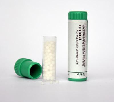 Homeoden Heel Rhus toxicodendron 200K 1 Gram Homeoden Heel Rhus toxicodendron 200K 1 Gram
