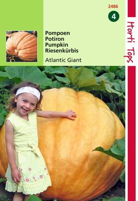 Zaden Pompoenen Atlantic Giant Hortitops - Hortitops
