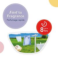 Yankee Candle Wax Melt Single Clean Cotton 22 g - thumbnail