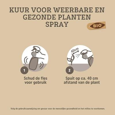 Pokon Bio bladinsecten spray 750 ml - thumbnail
