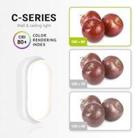 Set van 4 C-Series - LED Plafondlamp wit ovaal - Wandlamp - Scheepslamp - IP54 - 18 Watt - 1830lm - 4000K neutraal wit - voor binnen en buiten - thumbnail