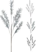 Tak grove 6 pluimen - Nampook - thumbnail