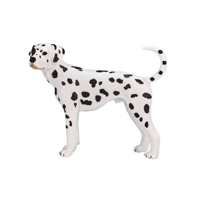 Mojo farmland dalmatiër - 387248