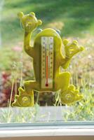 Thermometer kikker / Esschert Design - thumbnail