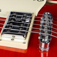 Perzisch IJzerhout struikvorm - thumbnail