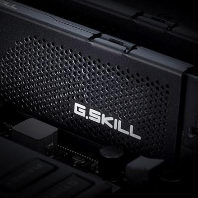 G.Skill F5-6000J3636F16GX2-RS5K geheugenmodule 32 GB 2 x 16 GB DDR5 6000 MHz - thumbnail