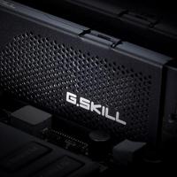 G.Skill Ripjaws S5 F5-6800J3445G16GX2-RS5K geheugenmodule 32 GB 2 x 16 GB DDR5 - thumbnail