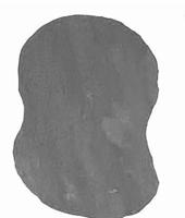 Kwartsiet Grey 0,2 m2 tuintegel Grijs 5 stenen per m2, prijs per steen Gardenlux - Gardenlux - thumbnail