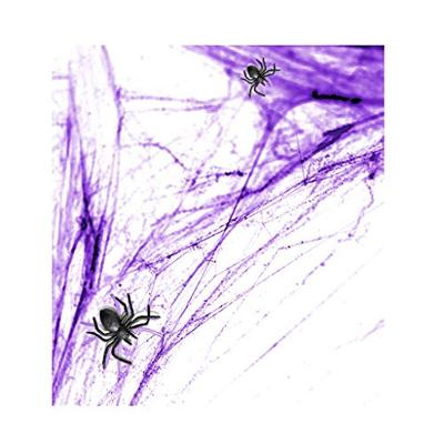Spinnenweb Paars Halloween Met 2 Spinnen