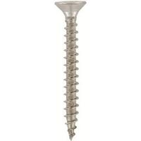 SPAANPL.SCHR.6.0X40 T-25/100ST - thumbnail