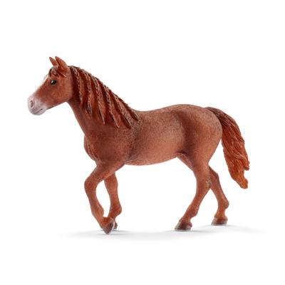 Schleich figuur Morgan merrie 13870