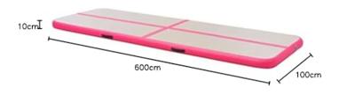 VidaXL Gymnastiekmat met pomp opblaasbaar 600x100x10 cm pvc roze