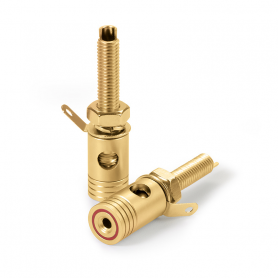 Audio Dynavox - Dynavox poolklemmenset Pro VII verguld