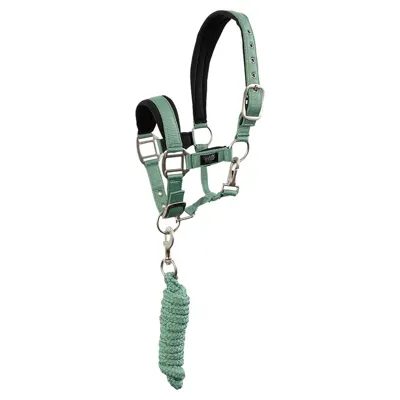 BR Mini Horse Halsterset lichtgroen maat:cob BR Mini Horse Halsterset lichtgroen maat:cob