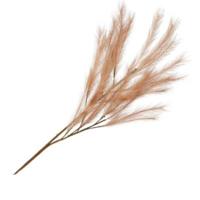 Daan Kromhout Kunsttak terra xl licht oranje 150 cm | 12 stuks - thumbnail