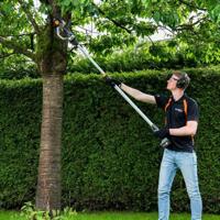 Batavia Nexxsaw telescoopsteel 1175 173m - thumbnail