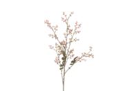 Countryfield phytolacca 87 cm roze - thumbnail