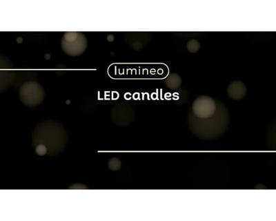 LED Dinerkaarsenset wax goud H24,5cm