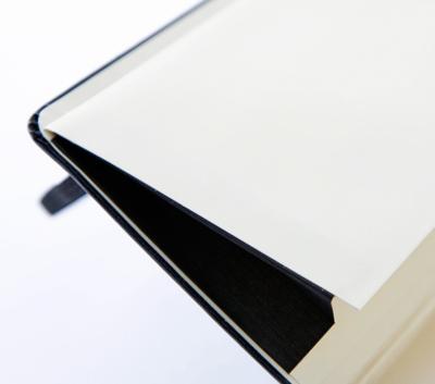 Notitieboek Moleskine large 130x210mm ruit 5x5mm soft cover zwart