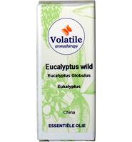 Volatile Eucalyptus Wild - thumbnail