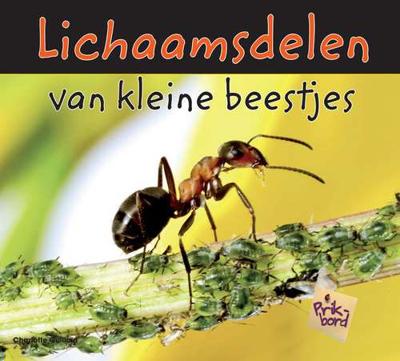 Lichaamsdelen van kleine beestjes - Charlotte Guillain - Hardcover (9789055660223)