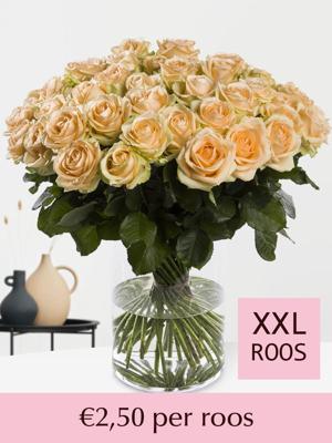 Zalmkleurige rozen - Kies je aantal - 10 t/m 99 rozen